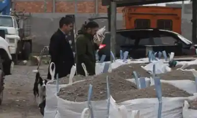 Ofrecieron 12 millones para evitar el juicio, pero la jueza lo rechazó: el motivo que dejó helados a los acusados de «Tierra Arrasada»