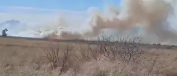 El Zonda azotó San Juan: árboles caídos, incendios y clases suspendidas en varios departamentos