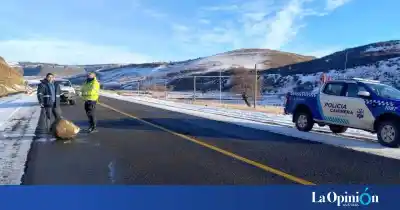Un conductor alertó sobre un peligro en la ruta y lo que encontraron obligó a un operativo urgente