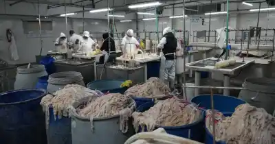 Tras 259 días de resistencia, firmaron el acuerdo que salva al frigorífico Euro