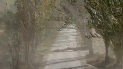 Alerta en Mendoza: suspenden clases por la tarde y noche en dos departamentos por el viento Zonda