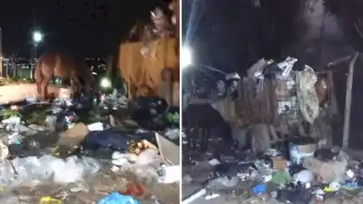 Vecinos de El Mollar exigen contenedores ante la crisis de basura que afecta al turismo tucumano