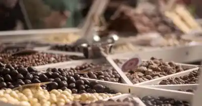 Más de 15 mil personas y un ganador inesperado: lo que dejó la primera Choco Fest en Mendoza