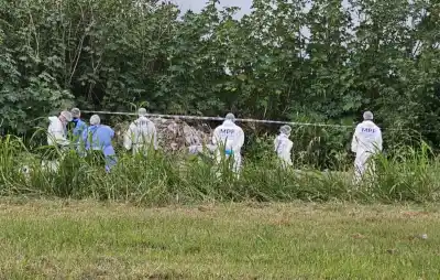 Macabro hallazgo en Manantial Sur: encontraron el cuerpo de una joven de 25 años oculto en bolsas de consorcio