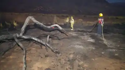 En tres semanas, Jujuy ya igualó los incendios de todo el año pasado: hay multas de hasta $15 millones