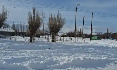 40 centímetros de nieve y caminos bloqueados: el drama que vive Ricardo Rojas