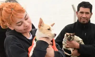 ¡Atención dueños de mascotas! Puerto Madryn lanza nuevo operativo gratuito de vacunación y castración