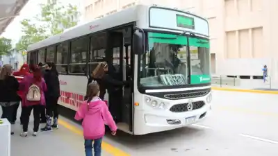 Sanciones millonarias a empresas de colectivos: ¿qué pasó con las frecuencias en la RedTulum?