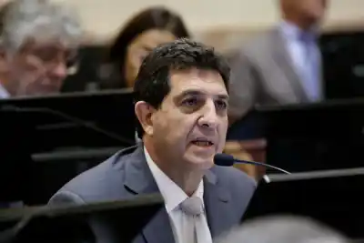 El senador Rejal se planta contra la reforma de la Ley de Tierras y alerta sobre el avance extranjero
