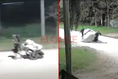 Robaron 40 metros de alambrado en "Los Naranjitos": las cámaras captaron la huida de los delincuentes