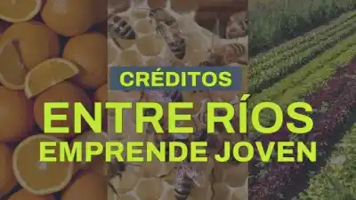 Hasta $3 millones sin interés: abrió la convocatoria para emprendedores entrerrianos