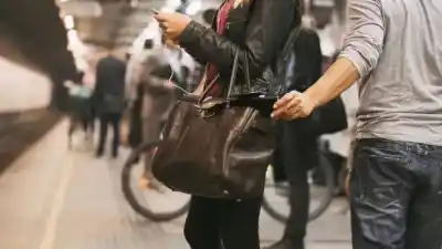 La fiesta del Poncho terminó con 30 denuncias: los punguistas se llevaron celulares y billeteras