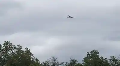 Filmaron dos avionetas en vuelo rasante sobre el monte salteño y la preocupación crece