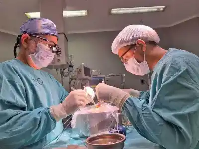 El día que Formosa cambió la historia de la salud: 19 años del primer trasplante renal con donante vivo