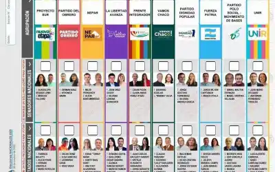 Chaco, en el podio del NEA: 29 partidos políticos habilitados según el último informe electoral