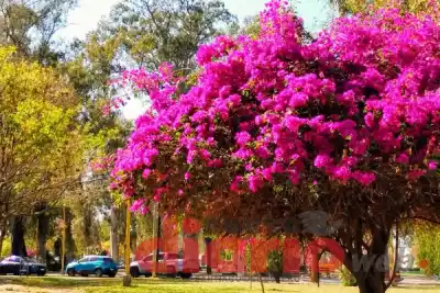 ¿El calor no afloja? El pronóstico completo para Santiago del Estero este martes