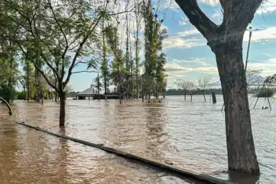 Alerta en Monte Caseros: el río Uruguay arrastra troncos y cierran el puerto por seguridad