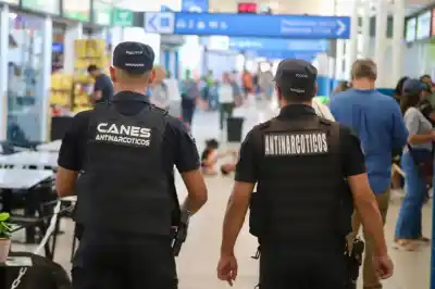 Más de 254 kilos de droga sacados de las calles: el balance que estremece a Neuquén