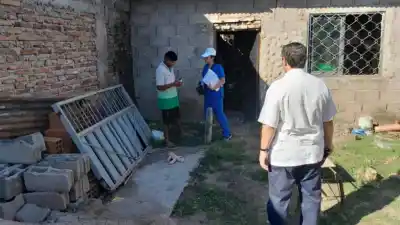 Inesperado aliado del mosquito: advierten que el invierno atípico dispara el riesgo de dengue en Tucumán