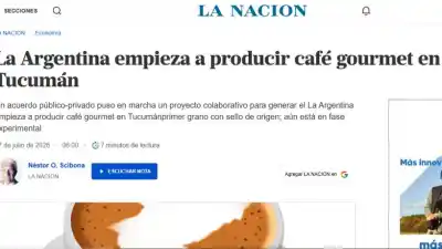 El café tucumano que podría romper un récord: ¿el primer grano 100% argentino?