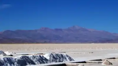 Se encienden las alarmas en Jujuy: convocan a una reunión urgente contra la ley que podría habilitar la venta de tierras a extranjeros