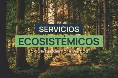 Lo que la naturaleza hace por Neuquén (y casi nadie nota)