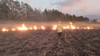 Alerta en Salta: el peligro de hacer fuego con estas condiciones climáticas
