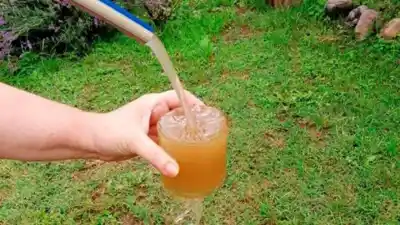 El Mollar: la falta de agua potable pone en jaque la temporada turística en Tucumán