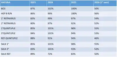 San Luis: las cifras de vacunación que sorprenden y la proyección que ilusiona para 2026