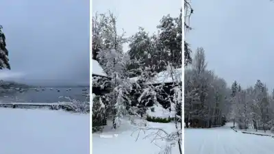 Juliana Awada y su refugio patagónico: la casa que no taló ni un árbol