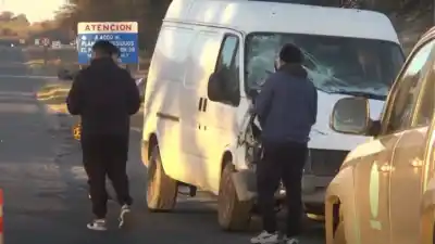 Un caballo cruzó la ruta y lo que pasó después es impactante