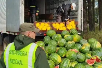 En pleno control, detectaron un cargamento de frutas con un detalle que alarmó a los inspectores