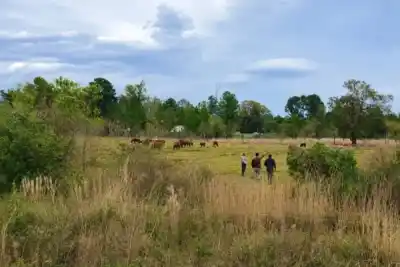 La creciente del Río Uruguay los dejó sin campo: ahora tienen un refugio para sus animales