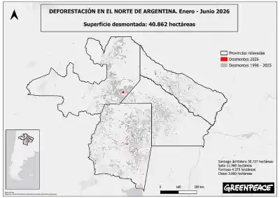 Alerta en el norte: en solo seis meses arrasaron con un área equivalente a dos veces la Capital Federal