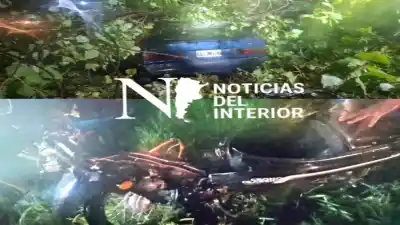 Un árbol gigante cayó sobre la Ruta 65 en El Molino y provocó un doble choque con herido