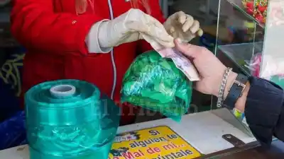 El mercado ilegal de la hoja de coca mueve millones en Tucumán y expone una ley desfasada