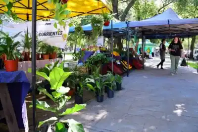 Semana de ferias en Corrientes: ¿dónde conseguir productos frescos y artesanales?