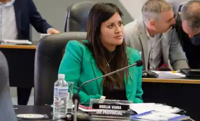 Diez meses de espera: la diputada Viara exige que se trate su proyecto de narcotest para funcionarios