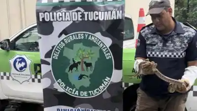 Una familia de Lomas de Tafí rescató una boa y Policía la trasladó al Instituto Lillo
