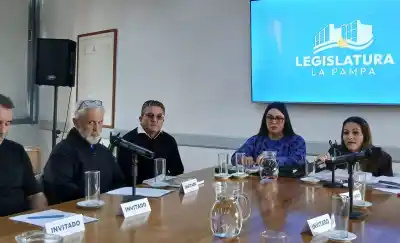 La crisis que amenaza a 200 empleados: empresarios petroleros pampeanos pidieron ayuda a diputados