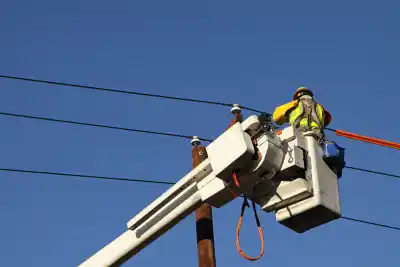 Cayó una rama y dejó sin luz a dos barrios: la CPE vuelve a alertar sobre los peligros de las podas sin control