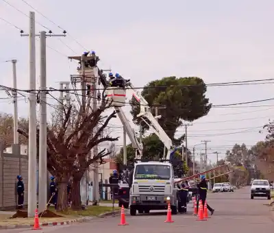 Cayó una rama y dejó sin luz a Santa Rosa: la CPE apunta a una poda no autorizada
