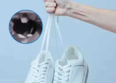 Entró a robar zapatillas y, como si nada, volvió por otro par