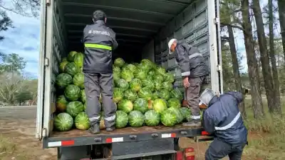Casi 9 toneladas de frutas sin control sanitario: el operativo que las detuvo en Corrientes