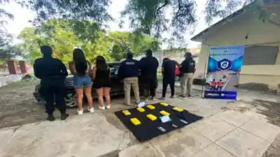 Cuatro jóvenes regresaban de Tucumán con cargamento de cocaína por $119 millones