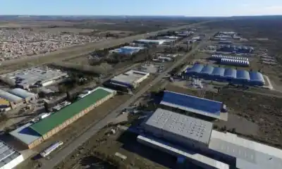 ¿Se viene un nuevo frigorífico en Trelew? La cooperativa que promete 22 empleos