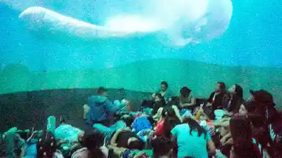 Vacaciones de invierno: el Planetario Móvil llega a La Banda con funciones gratuitas para toda la familia