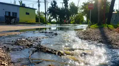 ¿Denuncias ambientales con un clic? Mendoza avanza hacia un sistema con fotos y videos georreferenciados