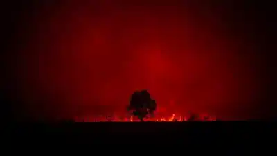Europa arde: vuelve el calor y el miedo a que las llamas se descontrolen