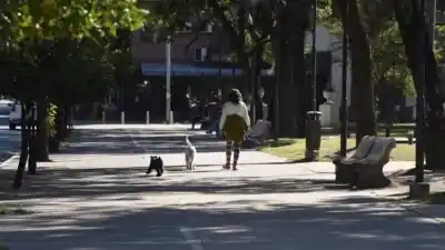 Alerta amarilla en Tucumán: tormentas intensas amenazan la tarde y noche del lunes